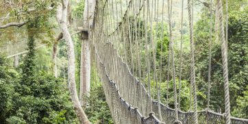 kakum national park