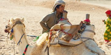 bedouin egypt