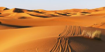 desert quadbiking