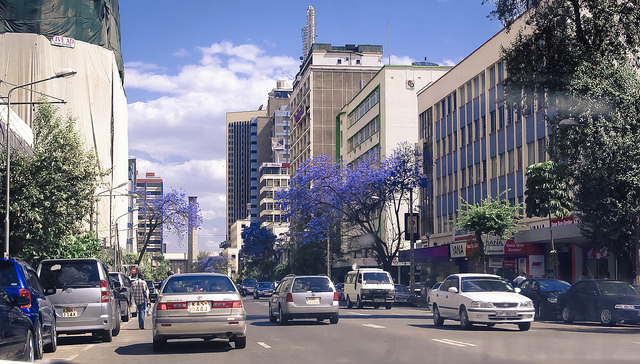 jacarandas downtown nairobi