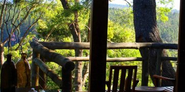 tsala treetop lodge plettenberg bay