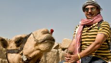 egypt camel