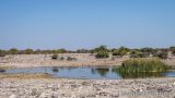 Where The Wild Things Are: 10 Of The Best Water Holes In Etosha ...