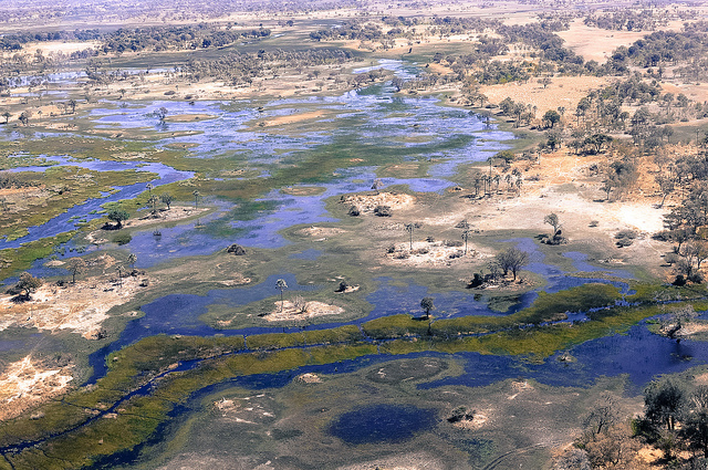 okavango delta aerial
