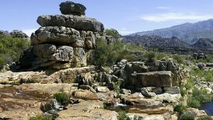 cederberg normal