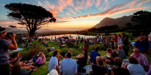 Cape Point Vineyard market (Courtesy of CPV)