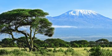 mount kilimanjaro