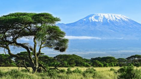 QUIZ: How Much Do You Know About Mount Kilimanjaro? | AFKTravel