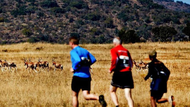 south africa marathon