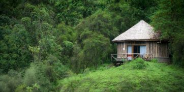 bale mountain lodge cottage