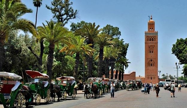 gardens of Marrakech