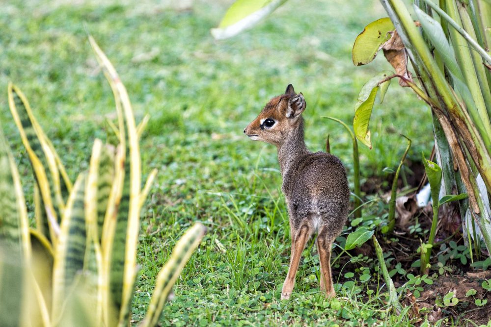warm hoeren dik warm hoeren dik