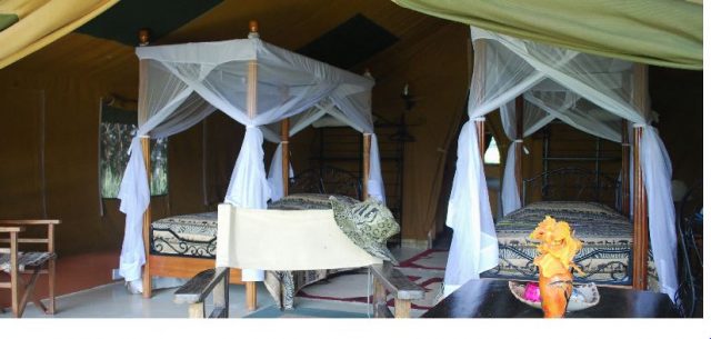 flamingo hill tented camp