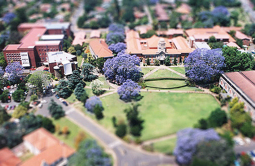 university kwazulu-natal