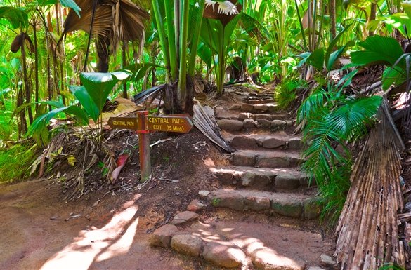 valle de mai
